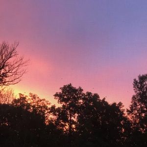 Meet your Posher, Nyah